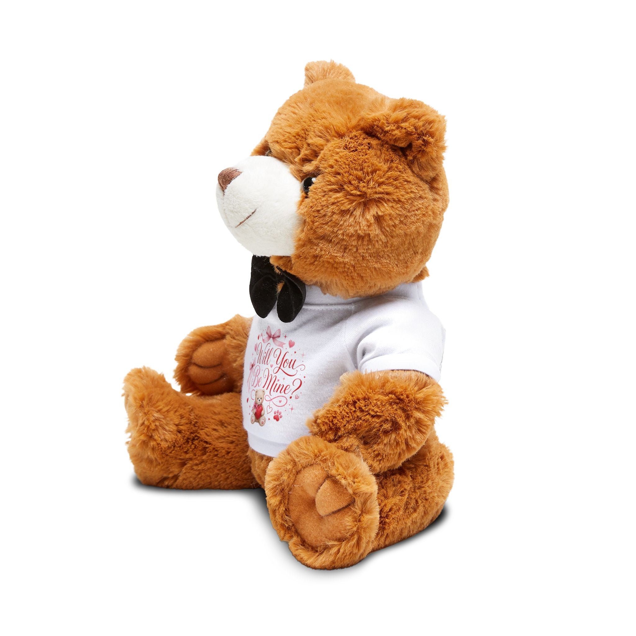 Valentine Proposal Teddy Bear